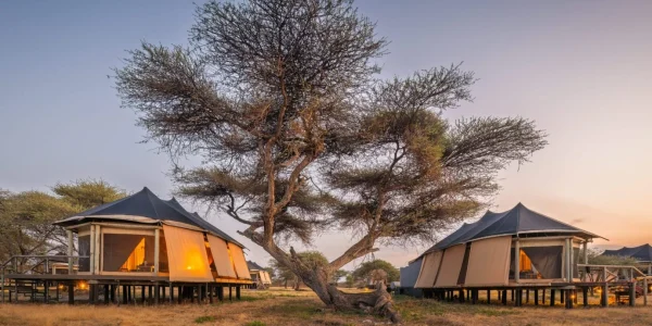 Masek Tented Lodge Sunrise Set