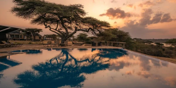 Masek Tented Lodge Swimming Pool