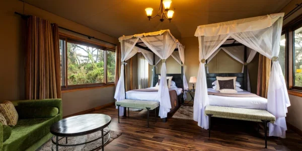 Ngorongoro Lion’s Paw Camp Twin