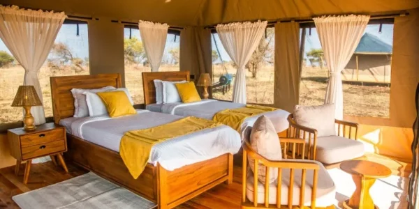 Pori pori Lodge Luxury Family Room