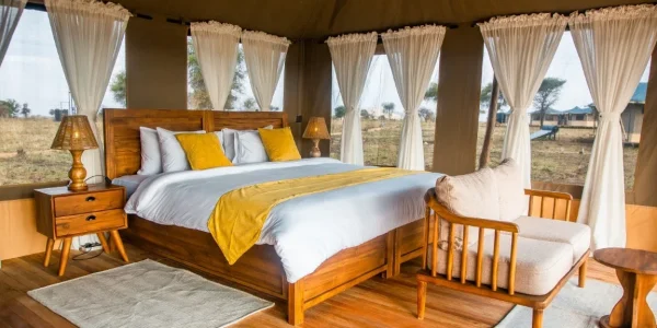 Pori pori Lodge single-room