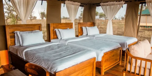 Pori pori Lodge tripple Room