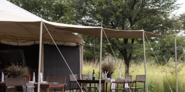 Serengeti Central Wilderness Dining Setup