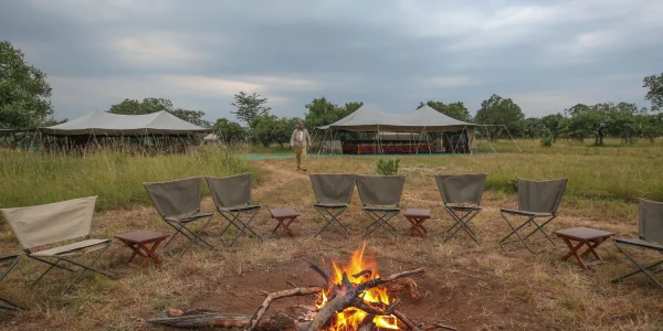 Serengeti North Wilderness Bonfire Setup