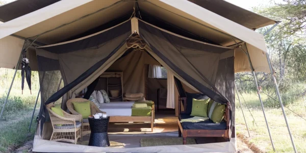 Serengeti North Wilderness Twin Room Front View