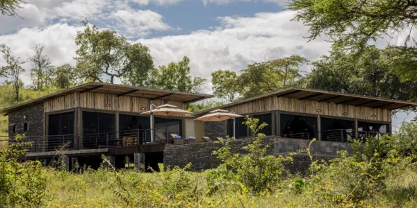 Tarangire-Elephant-Springs Close Up View